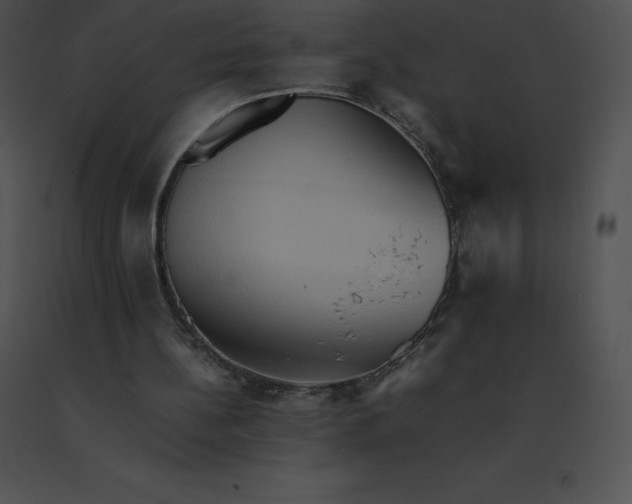 X0000091540148200708311339