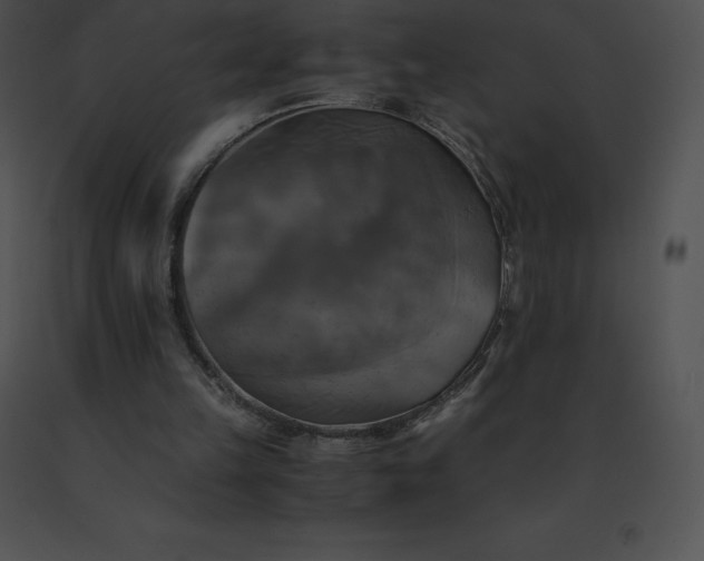 X0000091540149200708311339