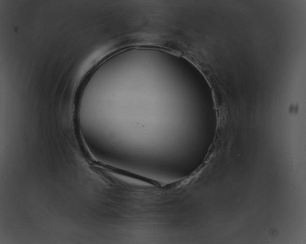 X0000091540150200708311339
