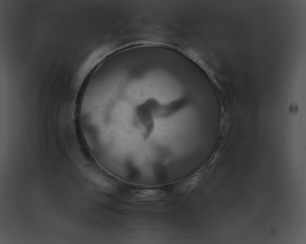 X0000091540151200708311339