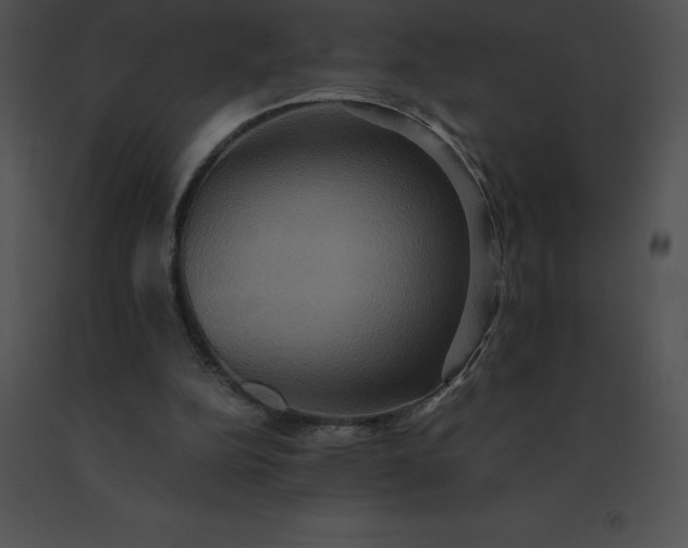 X0000091540152200708311339