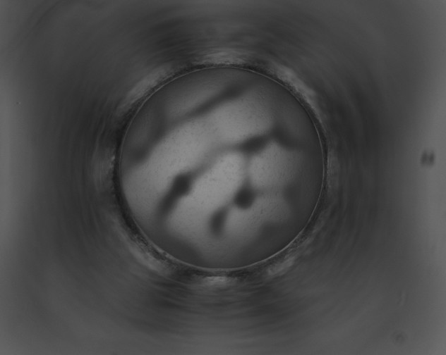 X0000091540153200708311339