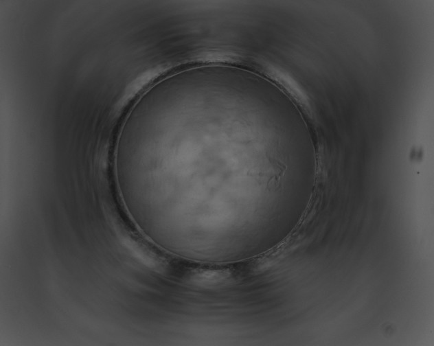 X0000091540155200708311339