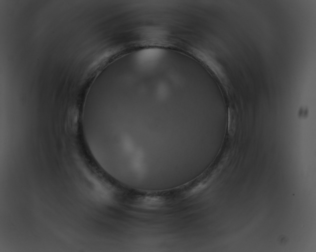 X0000091540157200708311339