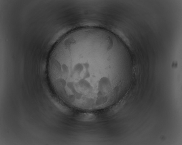 X0000091540159200708311339