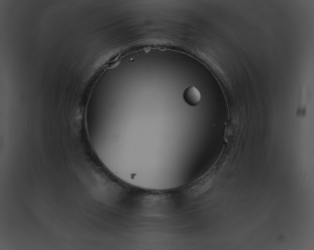 X0000091540160200708311339