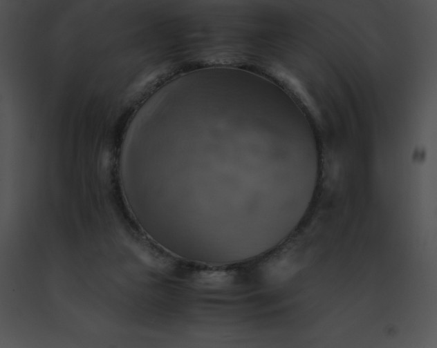 X0000091540161200708311339