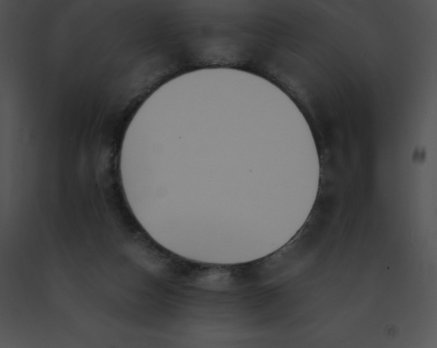 X0000091540162200708311339