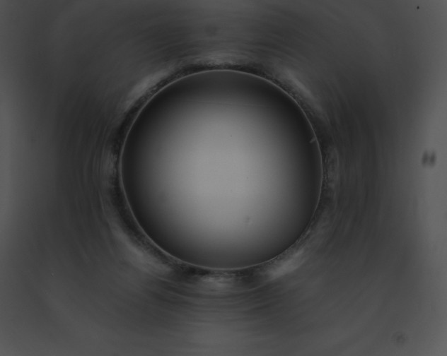 X0000091540164200708311339