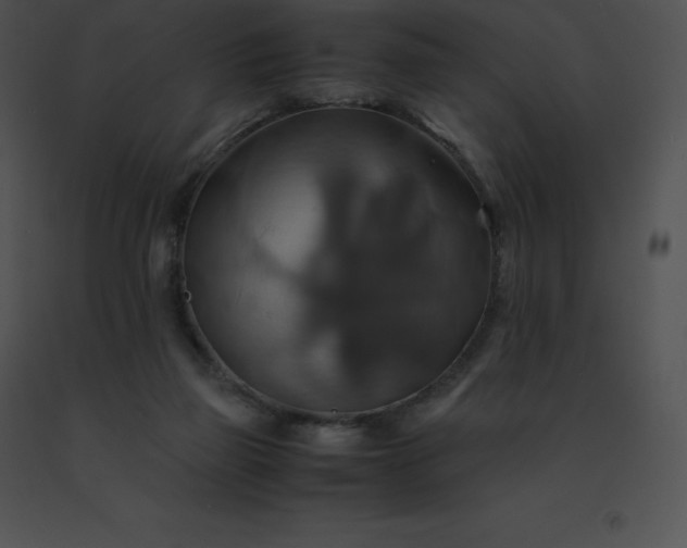 X0000091540165200708311339