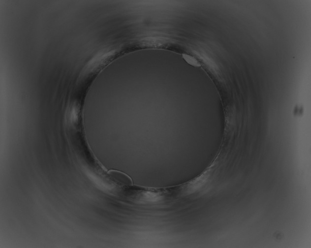 X0000091540166200708311339