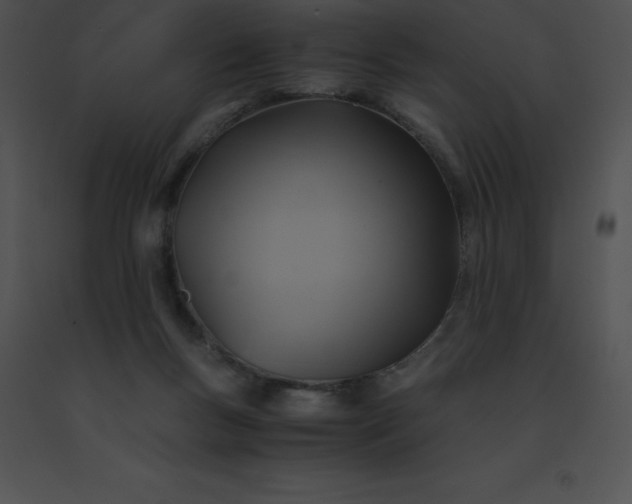 X0000091540167200708311340