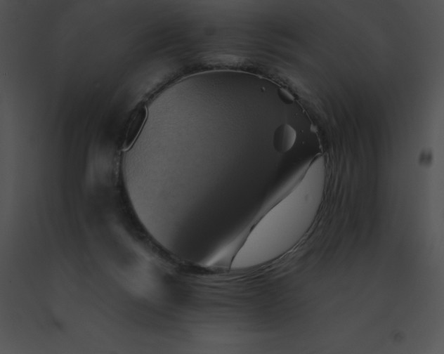 X0000091540168200708311340