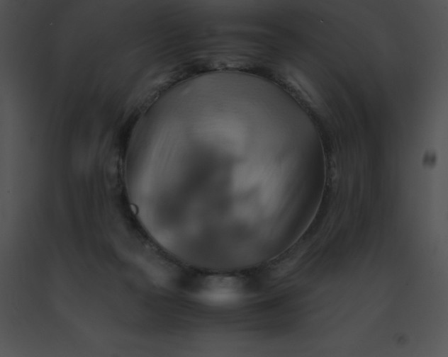 X0000091540169200708311340