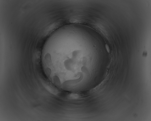 X0000091540171200708311340