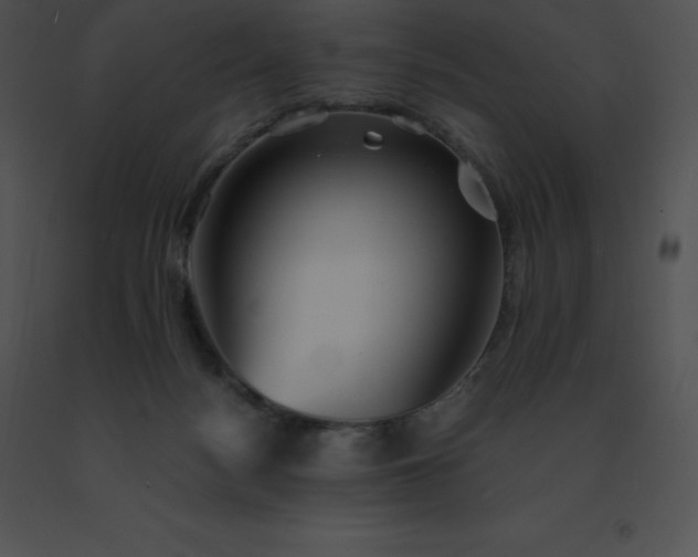 X0000091540172200708311340