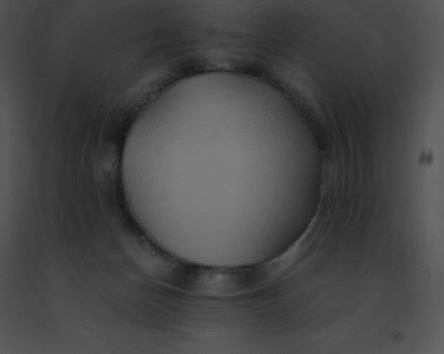 X0000091540174200708311340