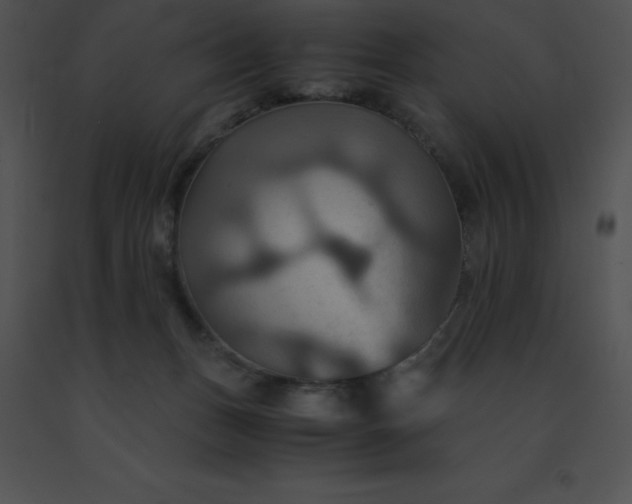 X0000091540175200708311340