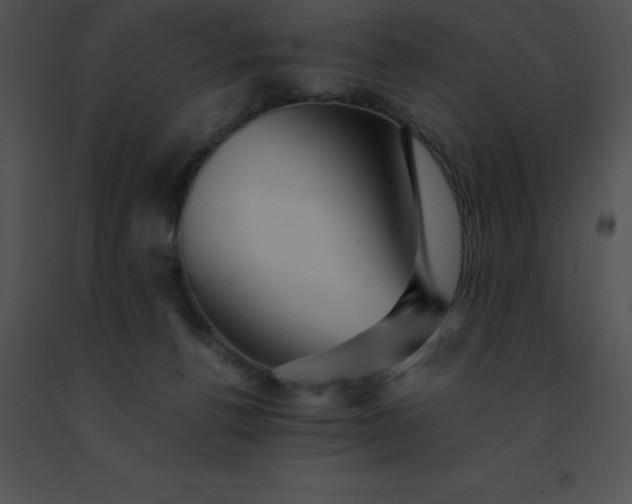 X0000091540176200708311340