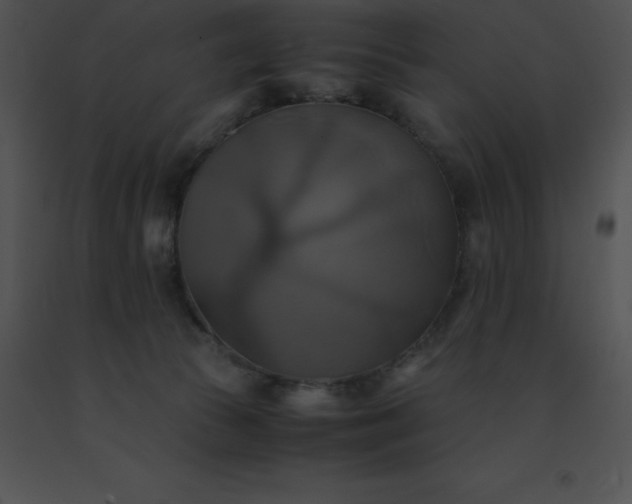 X0000091540177200708311340