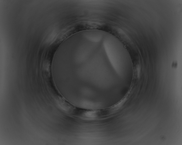 X0000091540178200708311340