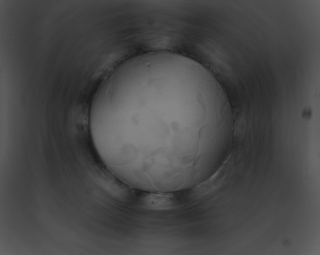 X0000091540179200708311340