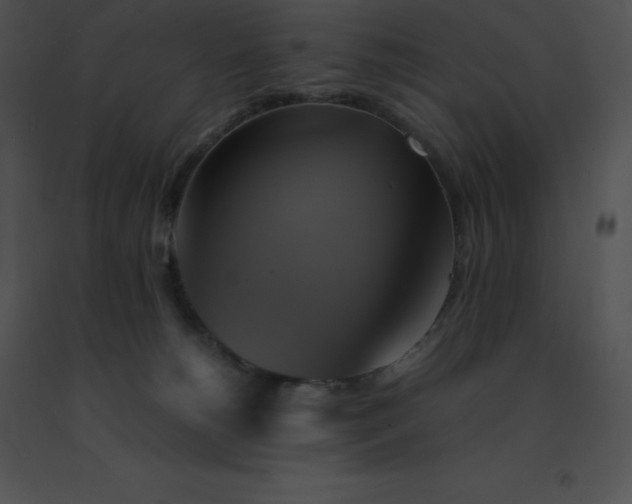 X0000091540180200708311340