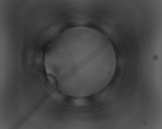 X0000091540181200708311340