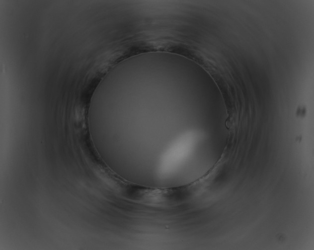 X0000091540182200708311340