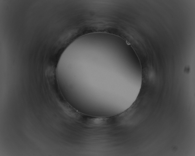 X0000091540184200708311340