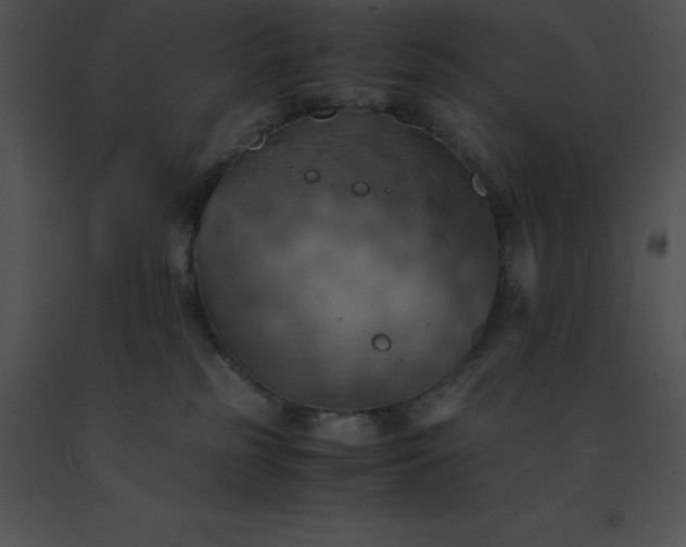 X0000091540185200708311340