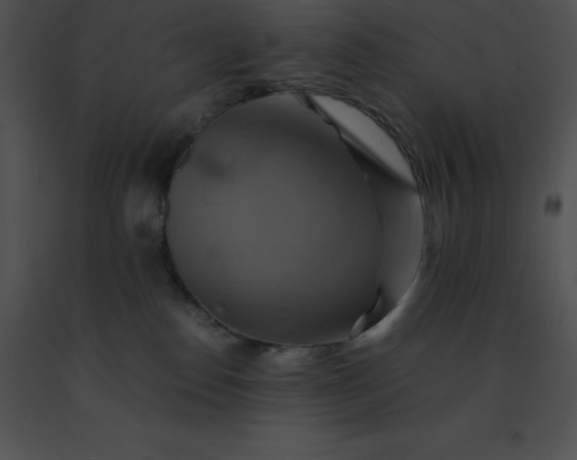 X0000091540186200708311340