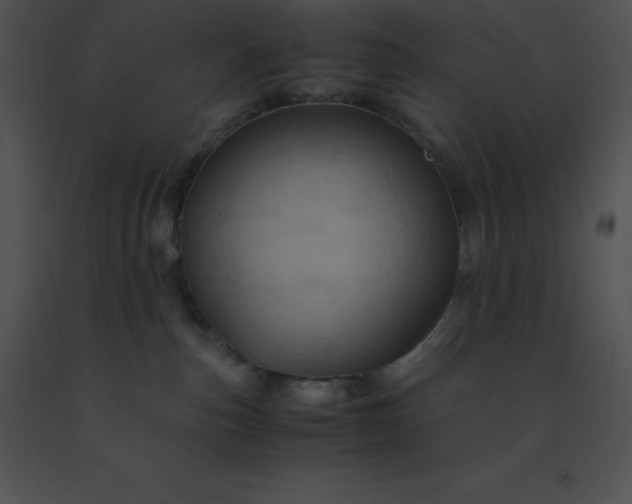 X0000091540187200708311340