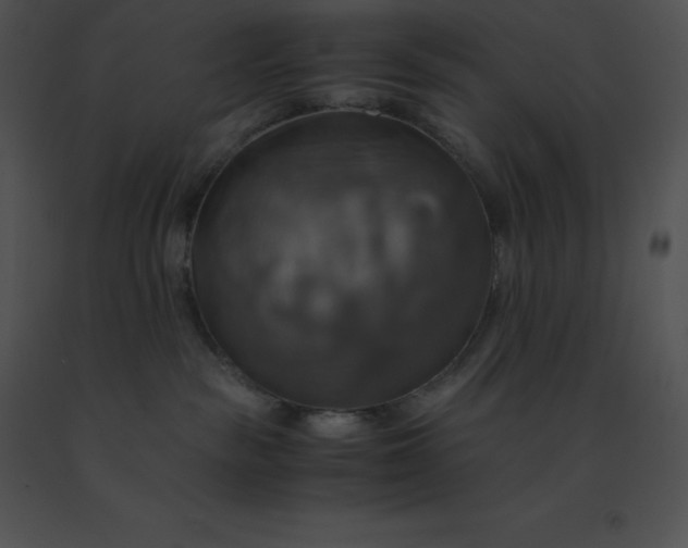 X0000091540189200708311340