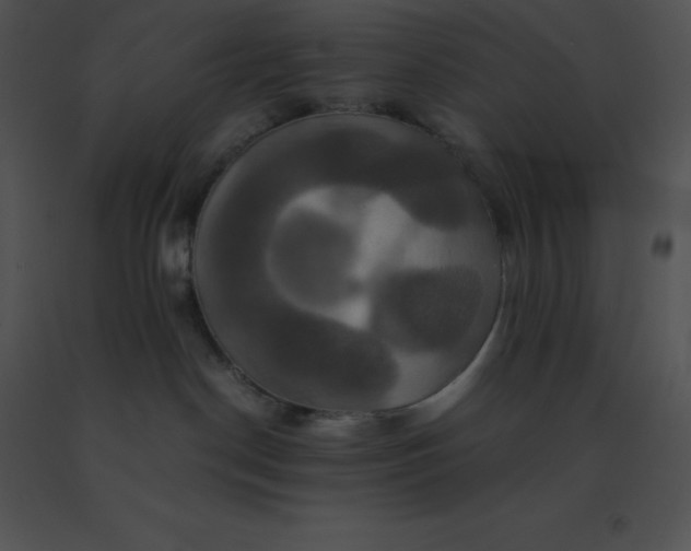 X0000091540190200708311340