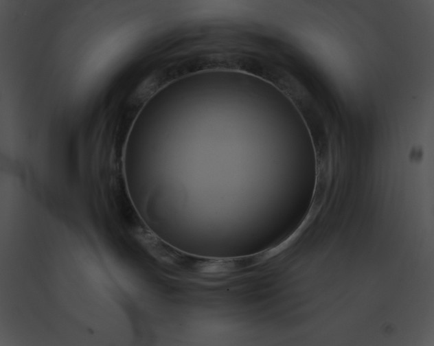 X0000091540191200708311340