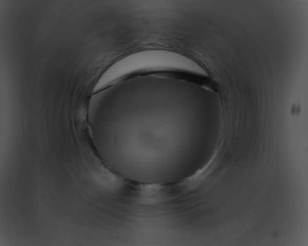 X0000091540192200708311340