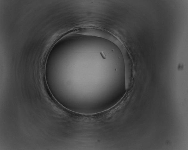 X0000091540193200708311339