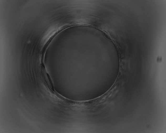 X0000091540194200708311339