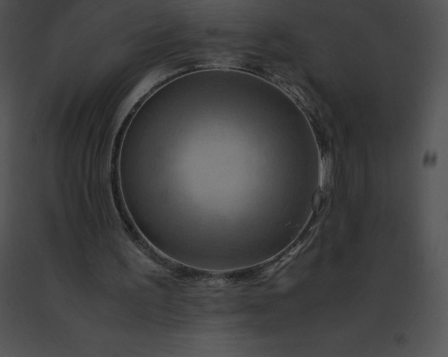 X0000091540195200708311339