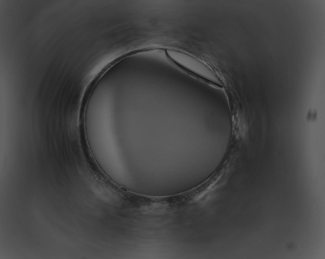 X0000091540196200708311339