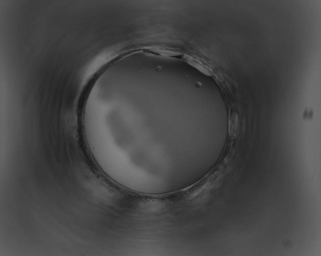 X0000091540198200708311339