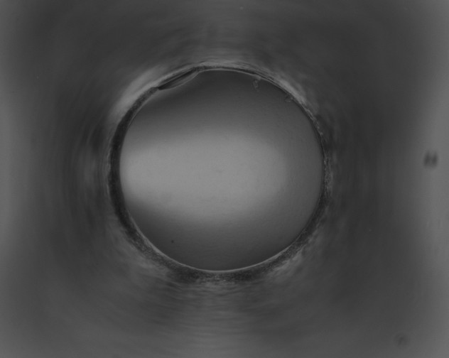 X0000091540199200708311339