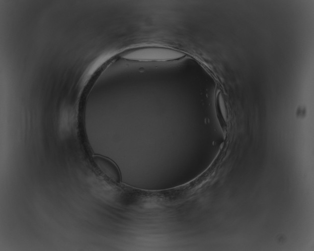 X0000091540200200708311339