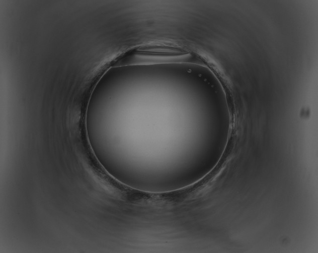 X0000091540201200708311339