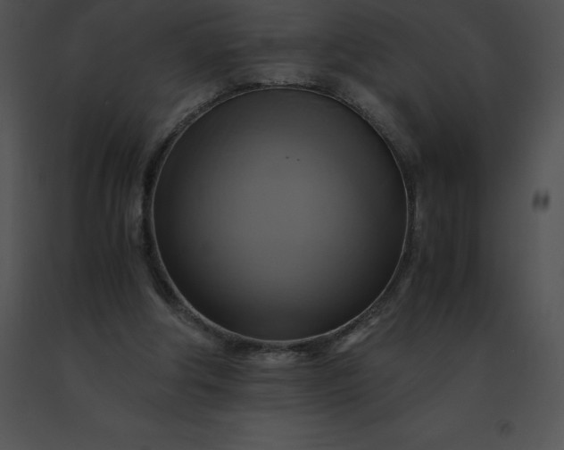 X0000091540202200708311339