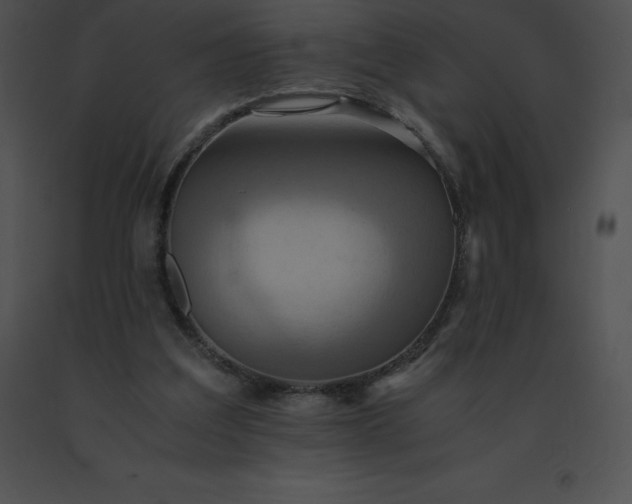 X0000091540203200708311339