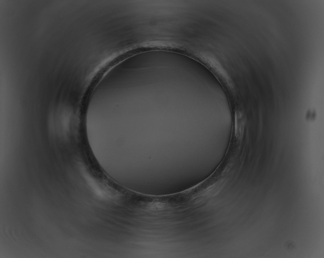 X0000091540204200708311339