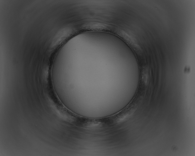 X0000091540206200708311339