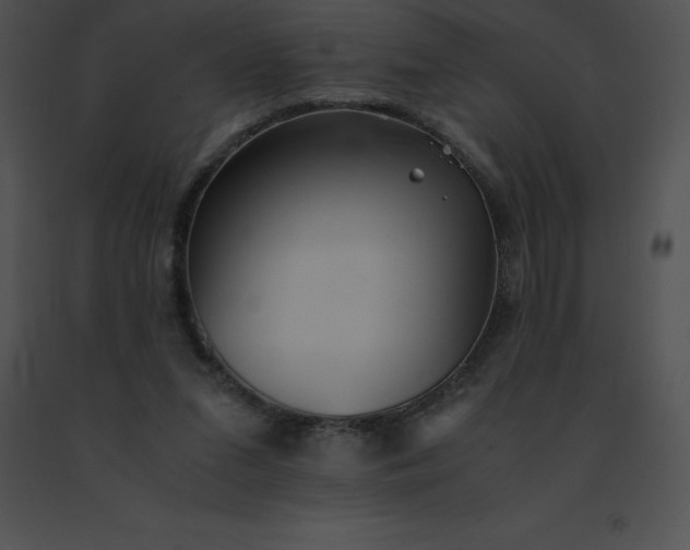 X0000091540207200708311339